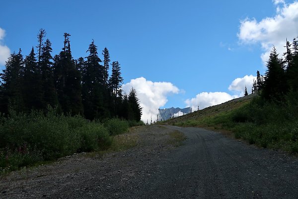 Mt Baker Ski Area Chair 7 Road - 9