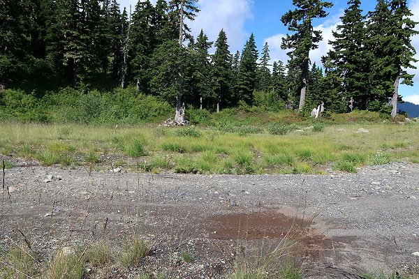 Mt Baker Ski Area Chair 7 Road - 55