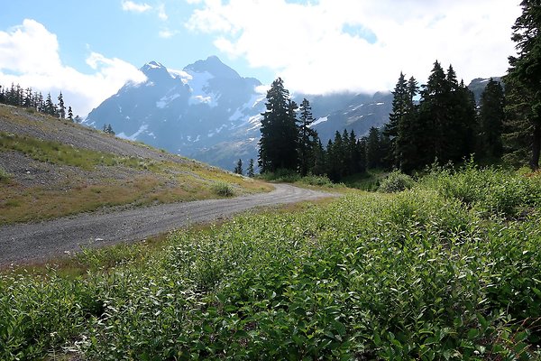 Mt Baker Ski Area Chair 7 Road - 38