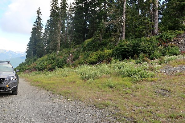 Mt Baker Ski Area Chair 7 Road - 33