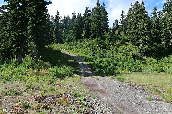 Mt Baker Ski Area Chair 7 Road - 54