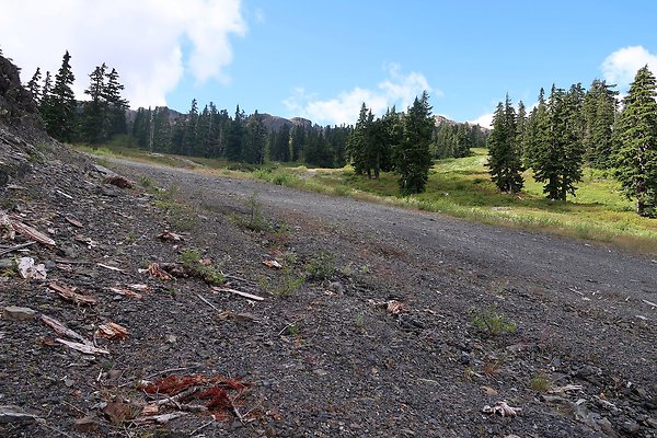 Mt Baker Ski Area Chair 7 Road - 19