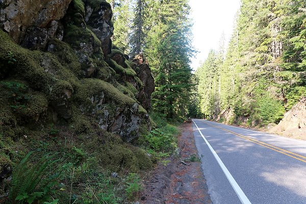 SR542 Mt Baker Hwy Excelcioir MM41 to 43 - 9