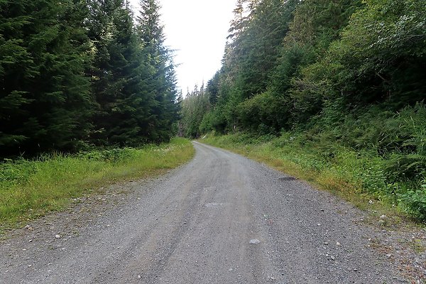 SR542 at NF 3075 White Salmon Hairpin - 2