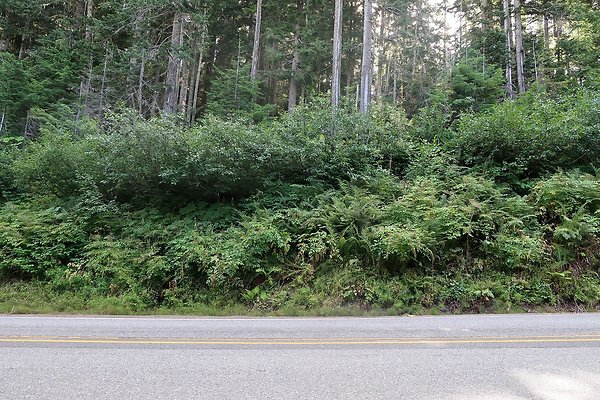SR542 at NF 3075 White Salmon Hairpin - 24