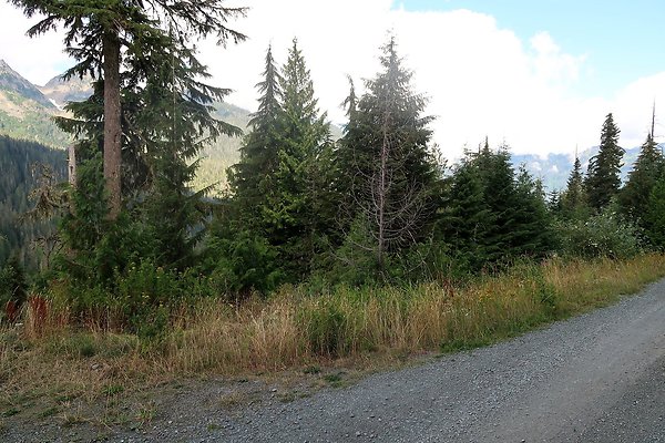 SR542 at NF 3075 White Salmon Hairpin - 58