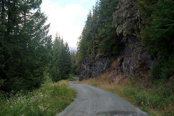 SR542 at NF 3075 White Salmon Hairpin - 50