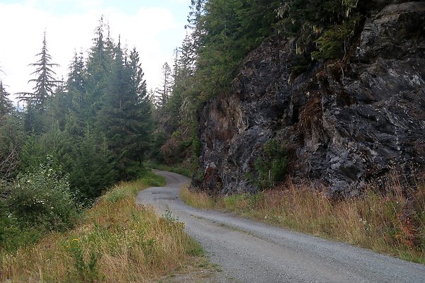 SR542 at NF 3075 White Salmon Hairpin - 54