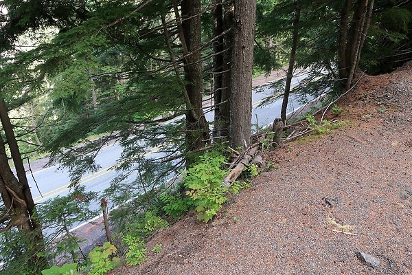 SR542 at NF 3075 White Salmon Hairpin - 21