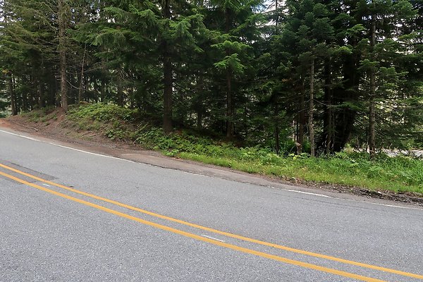 SR542 at NF 3075 White Salmon Hairpin - 32
