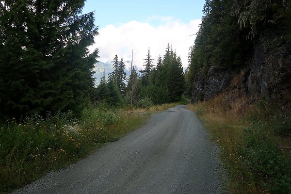 SR542 at NF 3075 White Salmon Hairpin - 51