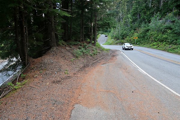 SR542 at NF 3075 White Salmon Hairpin - 22