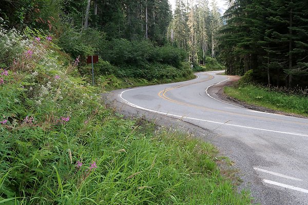 SR542 at NF 3075 White Salmon Hairpin - 10