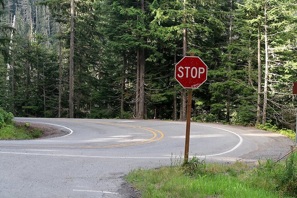 SR542 at NF 3075 White Salmon Hairpin - 8
