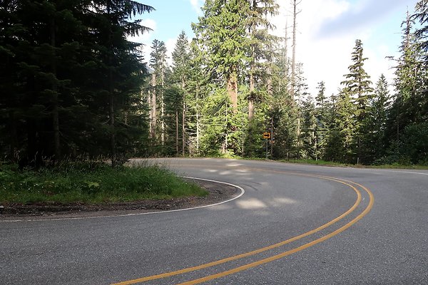 SR542 at NF 3075 White Salmon Hairpin - 36