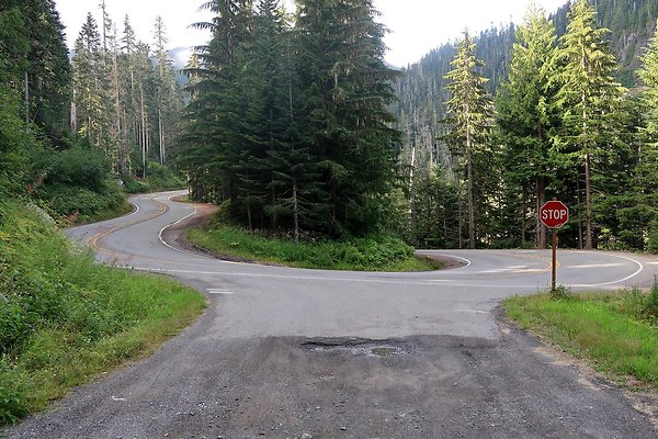 SR542 at NF 3075 White Salmon Hairpin - 4