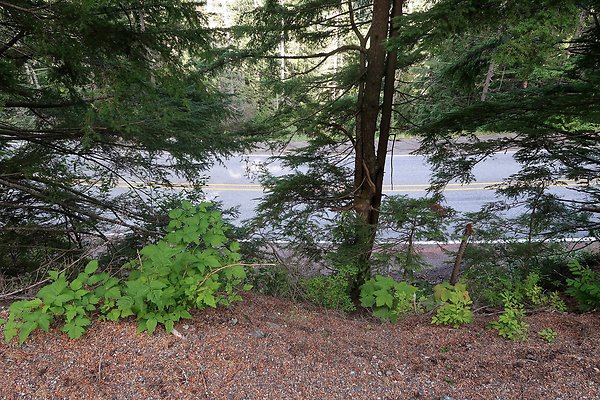 SR542 at NF 3075 White Salmon Hairpin - 20