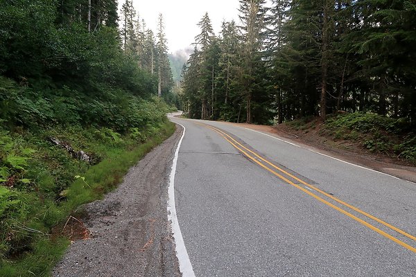 SR542 at NF 3075 White Salmon Hairpin - 31