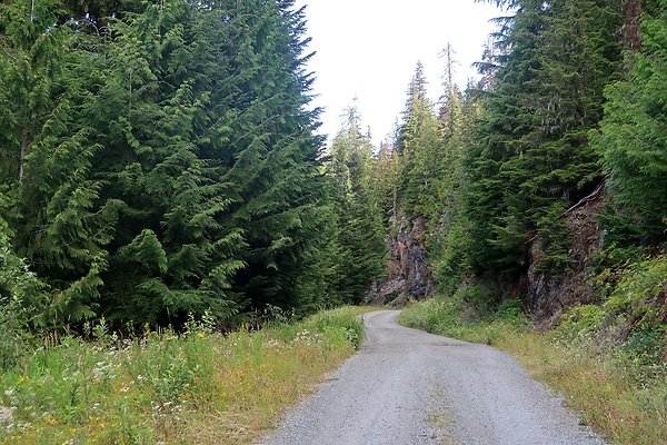 SR542 at NF 3075 White Salmon Hairpin - 39