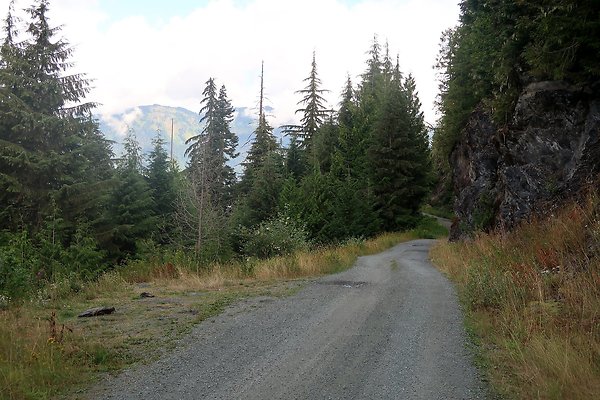 SR542 at NF 3075 White Salmon Hairpin - 52