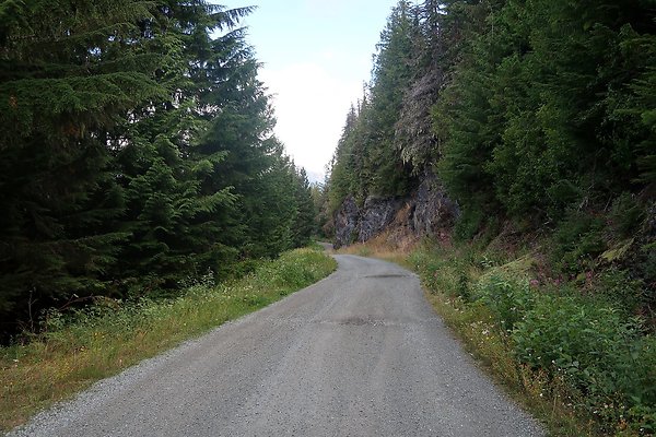SR542 at NF 3075 White Salmon Hairpin - 46