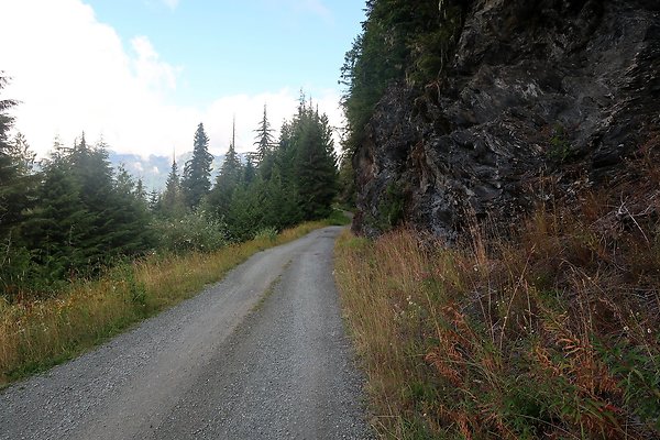 SR542 at NF 3075 White Salmon Hairpin - 59