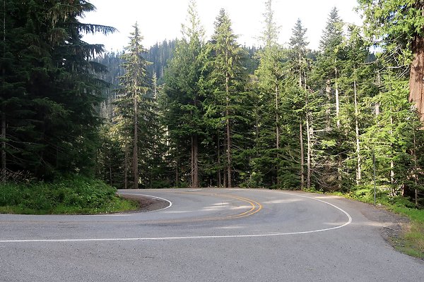 SR542 at NF 3075 White Salmon Hairpin - 11