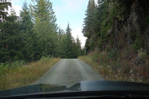SR542 at NF 3075 White Salmon Hairpin - 43