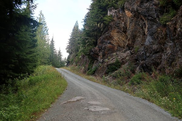 SR542 at NF 3075 White Salmon Hairpin - 42