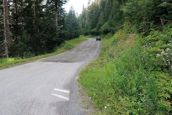 SR542 at NF 3075 White Salmon Hairpin - 16