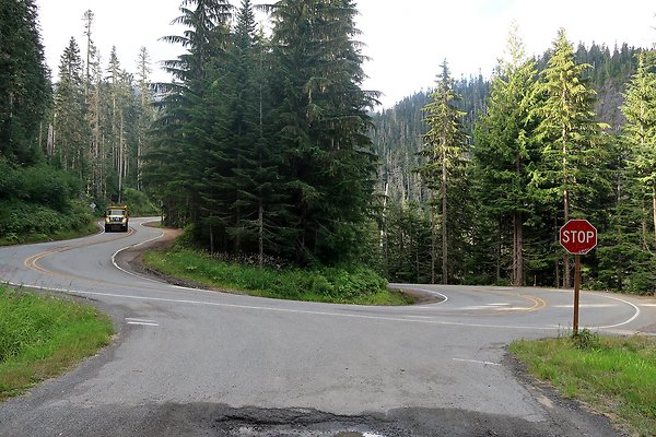 SR542 at NF 3075 White Salmon Hairpin - 9