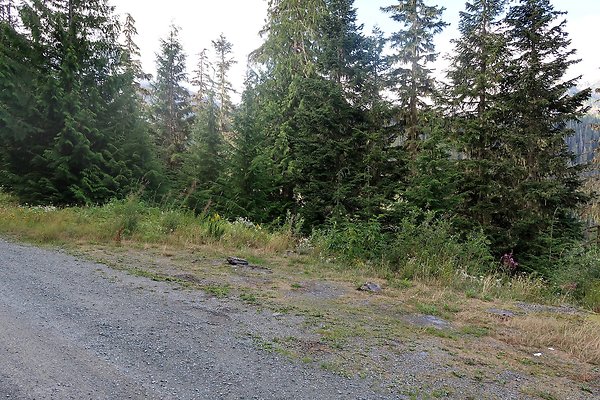 SR542 at NF 3075 White Salmon Hairpin - 56