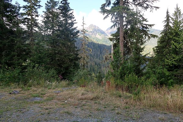 SR542 at NF 3075 White Salmon Hairpin - 57