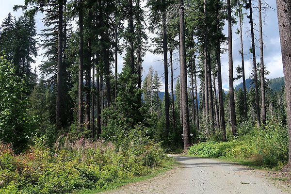 Park Creek Campground Baker Lake - 7