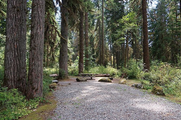 Park Creek Campground Baker Lake - 4