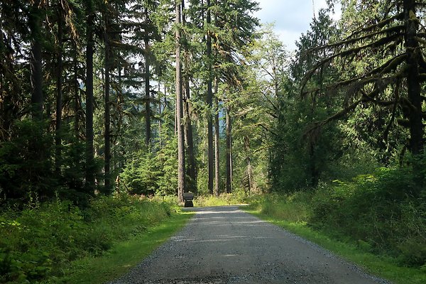 Park Creek Campground Baker Lake - 2