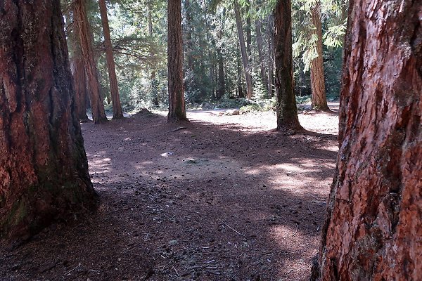 Ranger Creek Campground 2025 - 51
