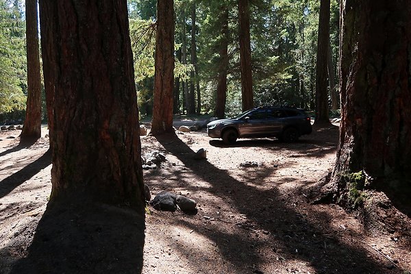 Ranger Creek Campground 2025 - 78