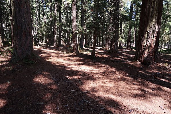 Ranger Creek Campground 2025 - 47