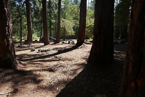Ranger Creek Campground 2025 - 50