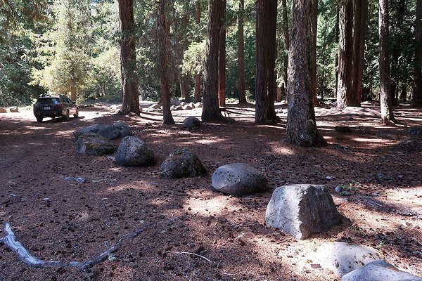 Ranger Creek Campground 2025 - 39