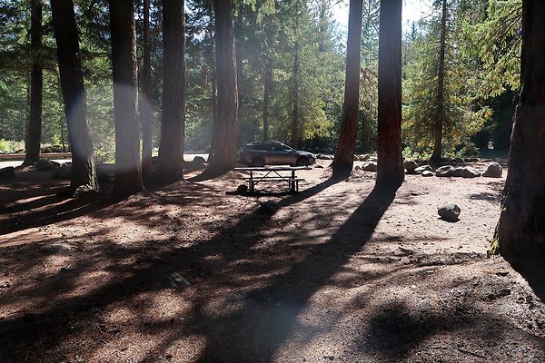 Ranger Creek Campground 2025 - 45