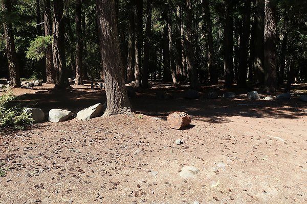 Ranger Creek Campground 2025 - 31