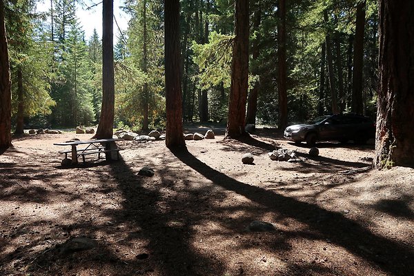 Ranger Creek Campground 2025 - 79