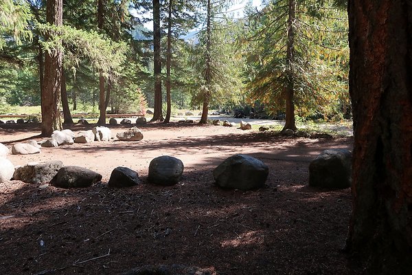 Ranger Creek Campground 2025 - 74