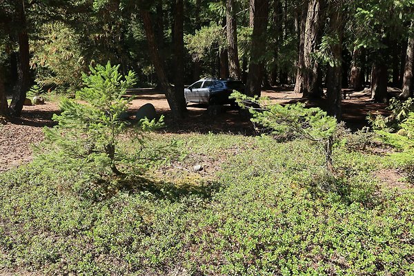 Ranger Creek Campground 2025 - 27