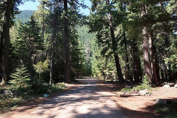 Ranger Creek Campground 2025 - 7