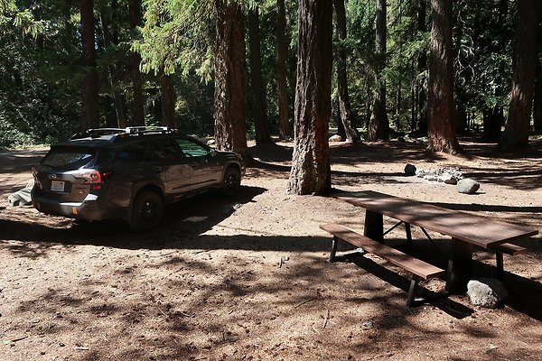 Ranger Creek Campground 2025 - 66
