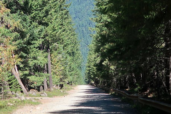 Ranger Creek Campground 2025 - 83