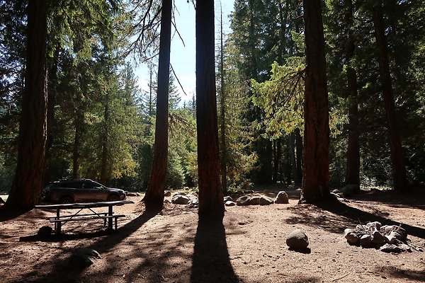 Ranger Creek Campground 2025 - 60
